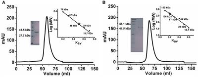 Biochemical Characterization of Kluyveromyces lactis Adenine Deaminase and Guanine Deaminase and Their Potential Application in Lowering Purine Content in Beer